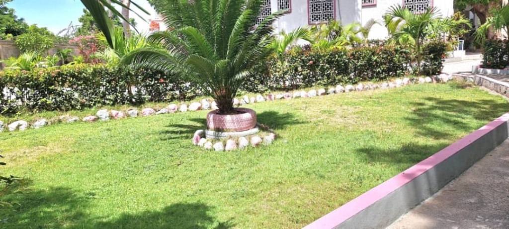 Manicured lawn with palm tree planter and pink-edged pathway