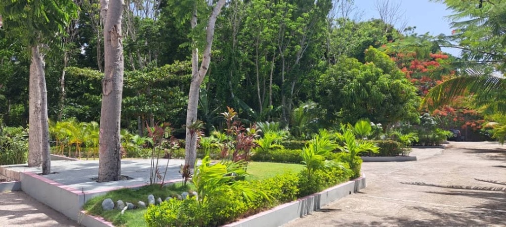 Tropical garden with tall trees, flamboyant blooms and manicured beds